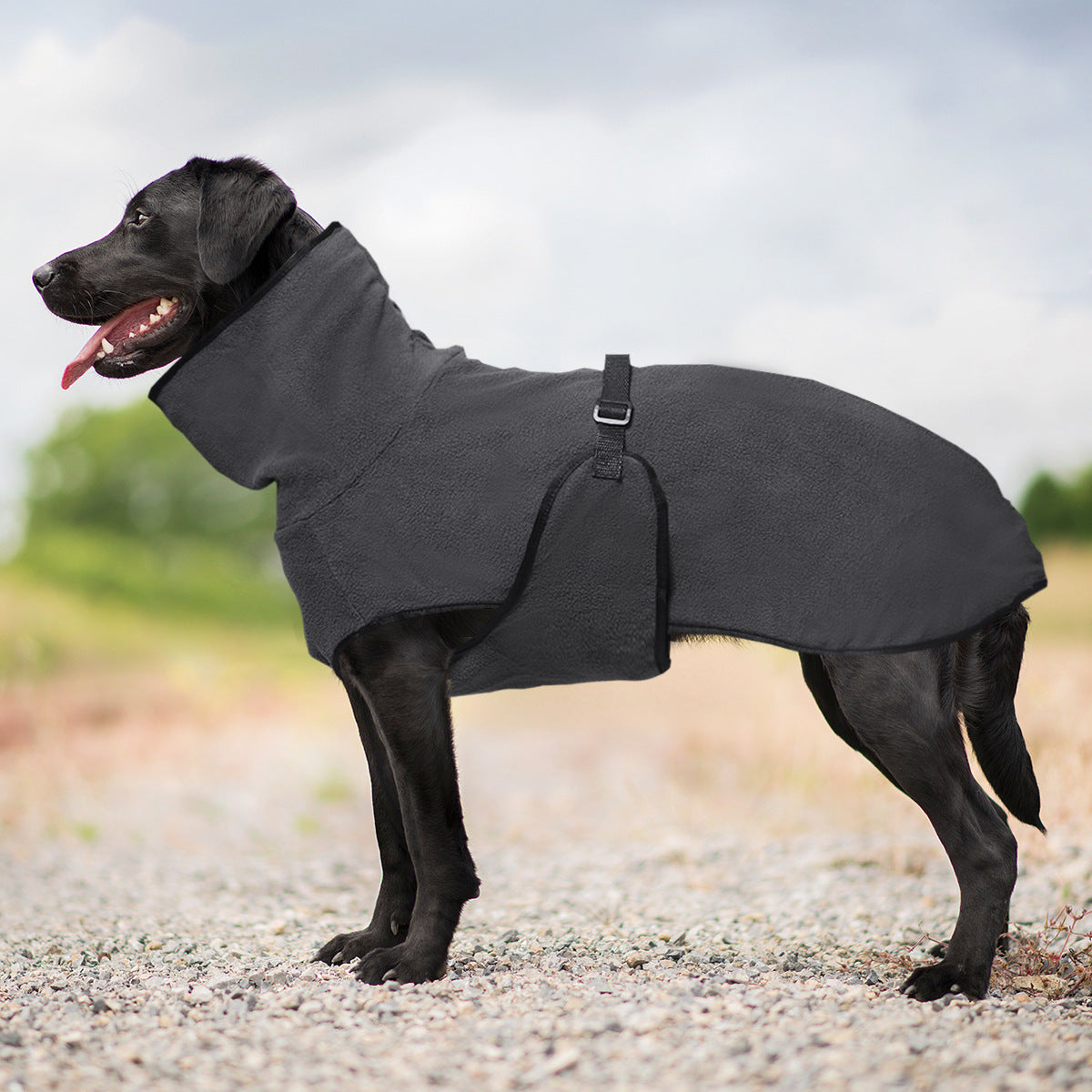 Hooded polar fleece dog jumper, available in 5 colours, sizes Small to 5XL, image 20