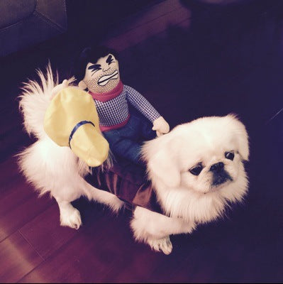 Funny rider costume for dogs, available in 4 styles, image 4