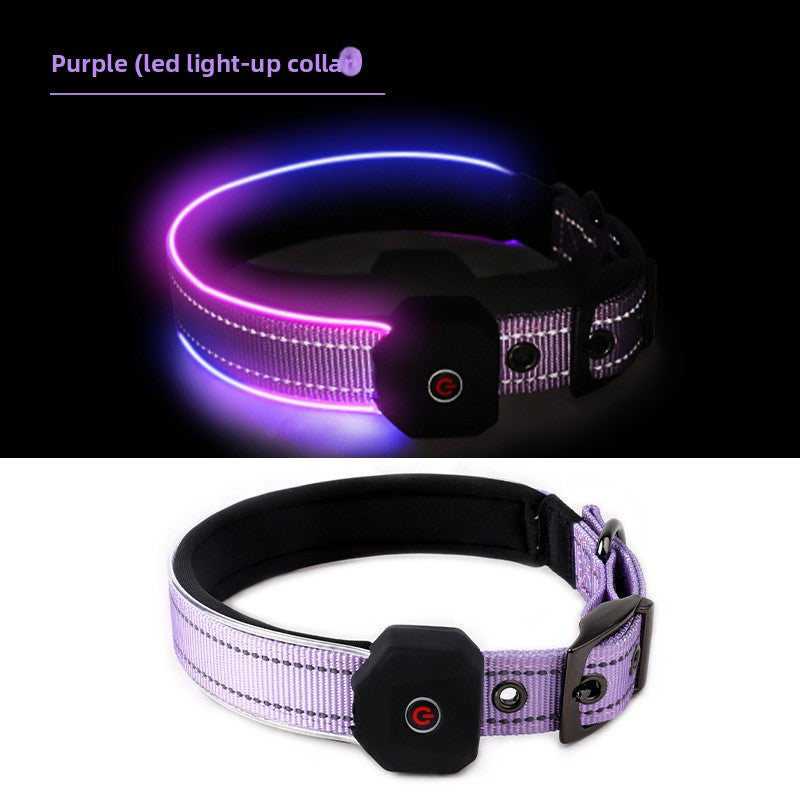 Rechargeable LED dog collar with reflective strip glowing, product image 17