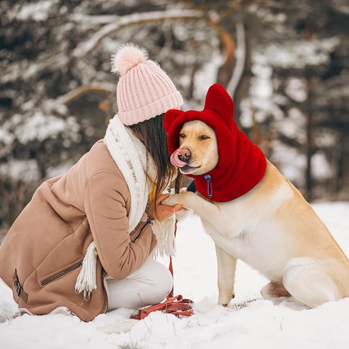 Cat wearing a warm red fleece winter hat