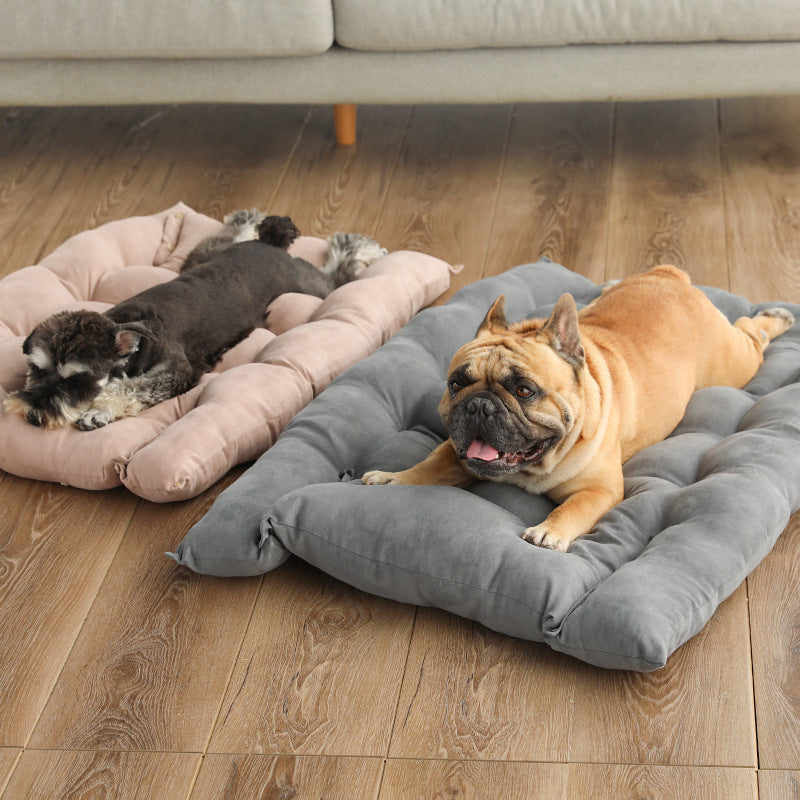 Foldable convertible cat bed that becomes a sofa, photo 3 of 49