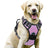 Nylon vest dog harness with matching lead in peacock blue