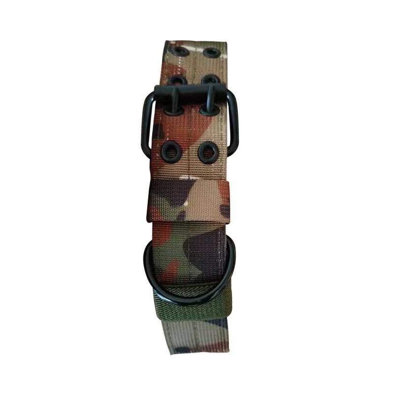Heavy-duty nylon collar for large dogs, ideal for everyday use