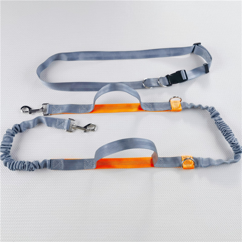 Hands-free reflective waist lead for dogs and cats, close-up detail view