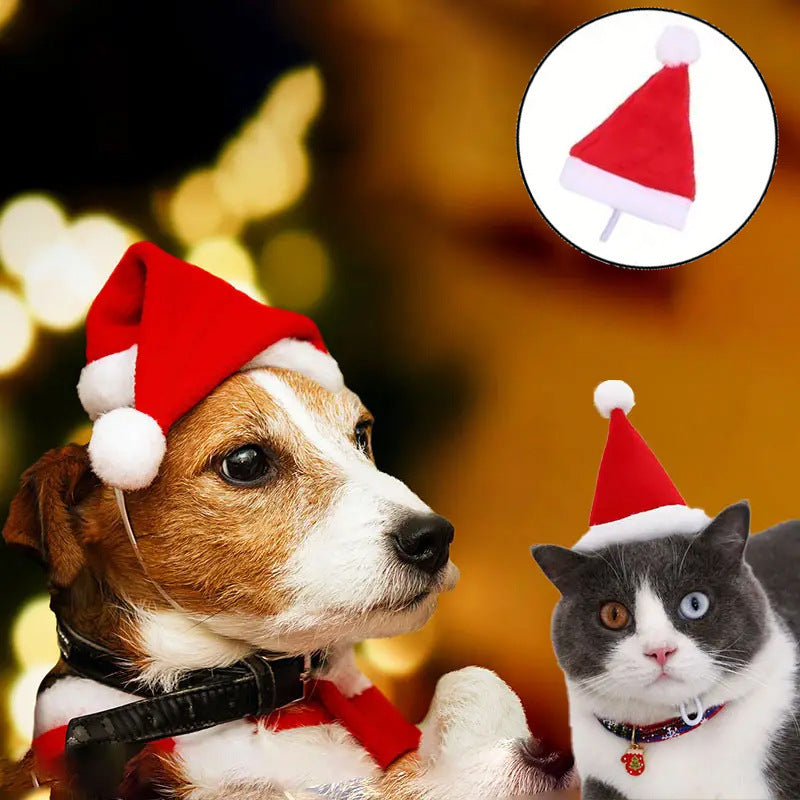 Cat wearing a plush red and white striped Christmas hat