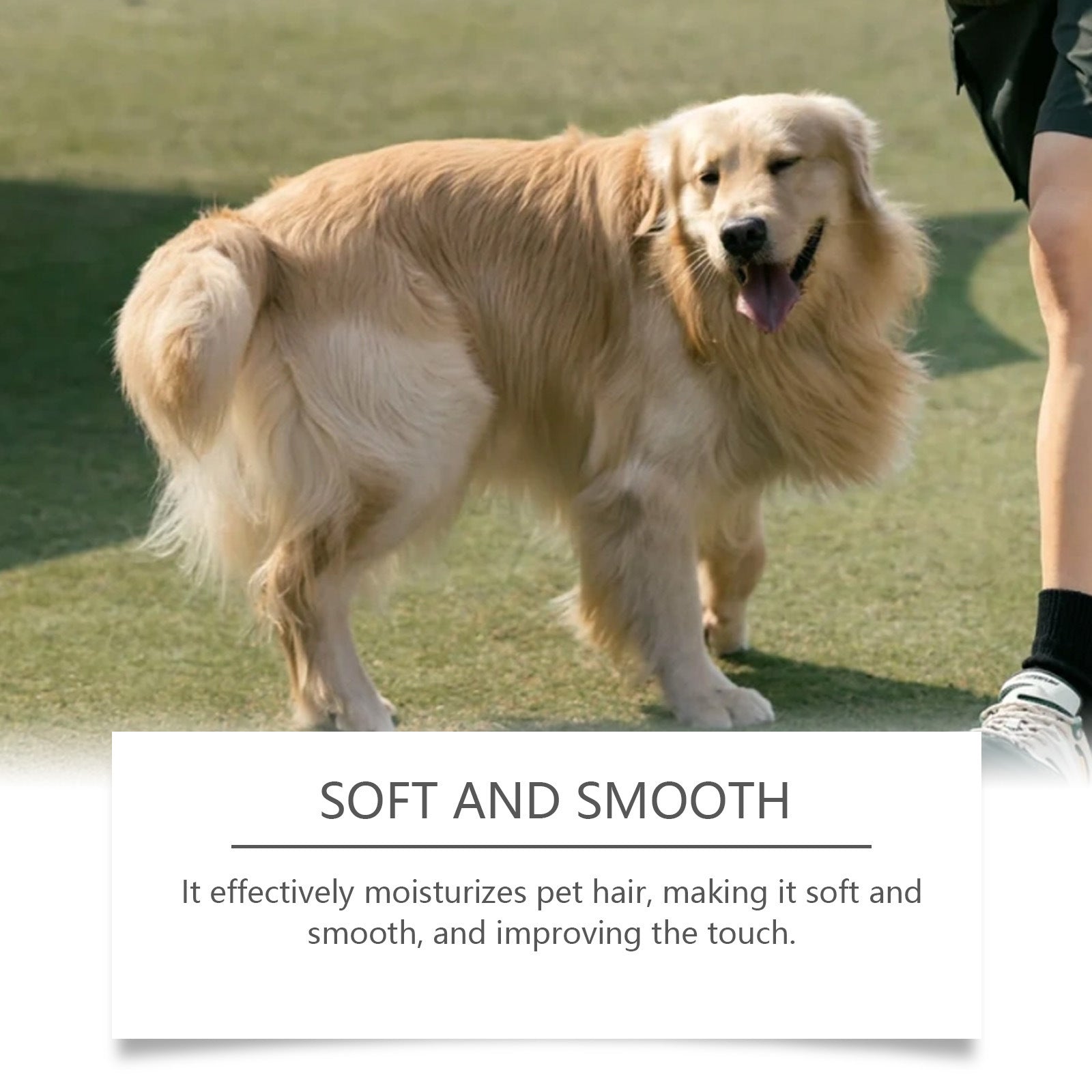 Portable Dog Deodorising Spray, Fresh Pet Care Mist