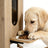 Wooden Pet Food Storage Feeder