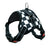 Saddle style padded dog harness in Graffiti Saddle, in use with a pet