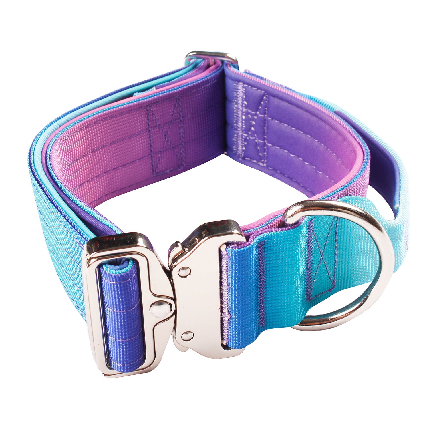 Gradient dog collar and lead, main product photo