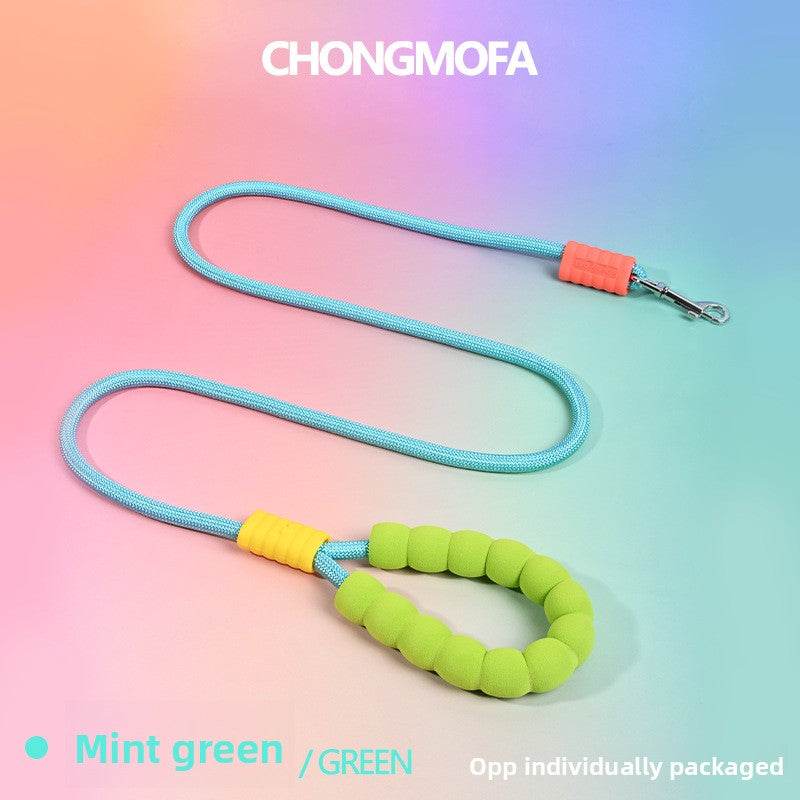 Lightweight pet lead for cats and dogs, ideal for everyday use
