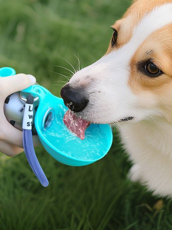 Portable Pet Water Bottle with Drinking Bowl