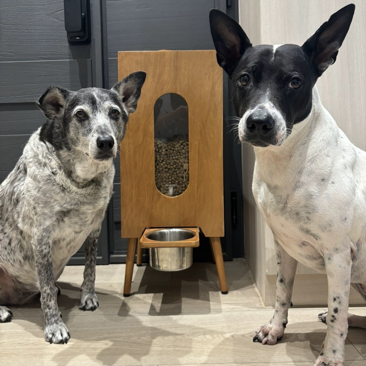 Retro Wooden-Style Semi-Automatic Pet Feeder with 10kg Food Hopper and Two Bowls