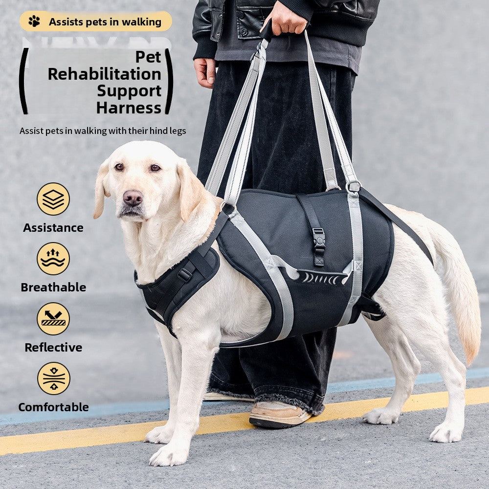 Reflective support dog harness with lift handle in Black