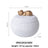 Pet Memorial Urn for Ashes