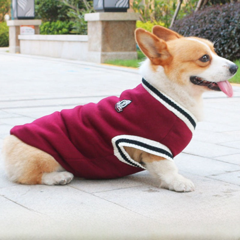 Warm knitted dog vest jumper with pull on design in Red, showing size and shape