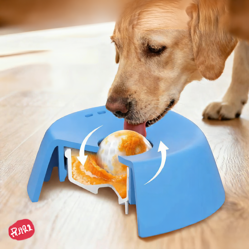 Dog licking bowl