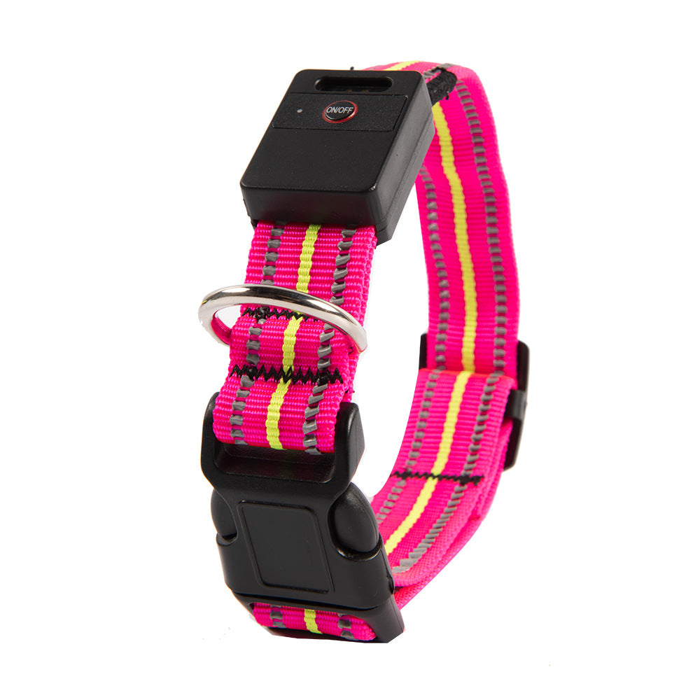 Blue fibre optic LED dog collar glowing on a night walk
