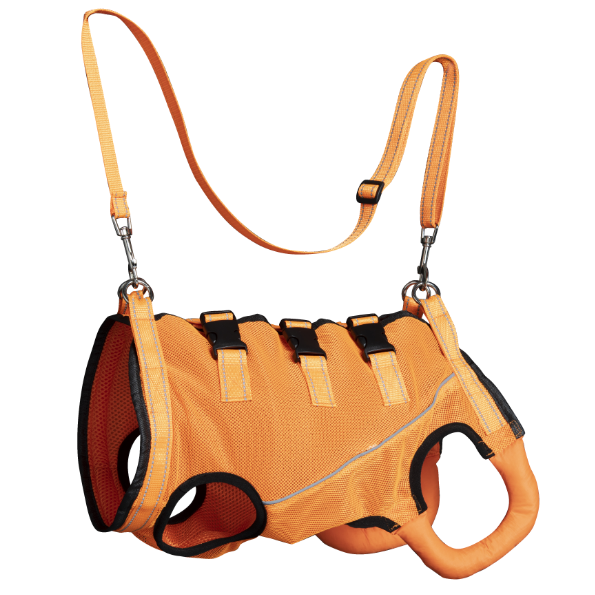 Dog support harness with handles for stairs and car access