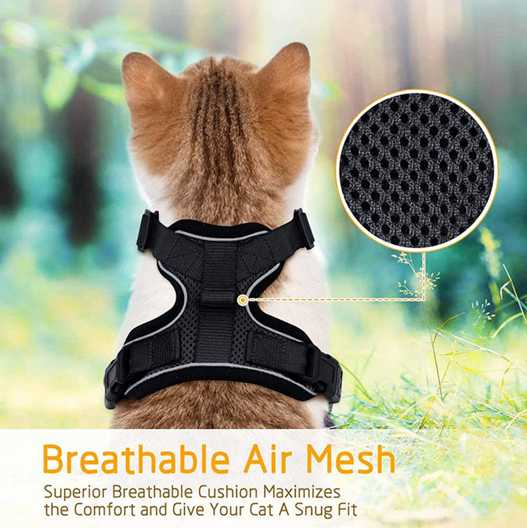 Mesh pet harness sets shown in eleven colours