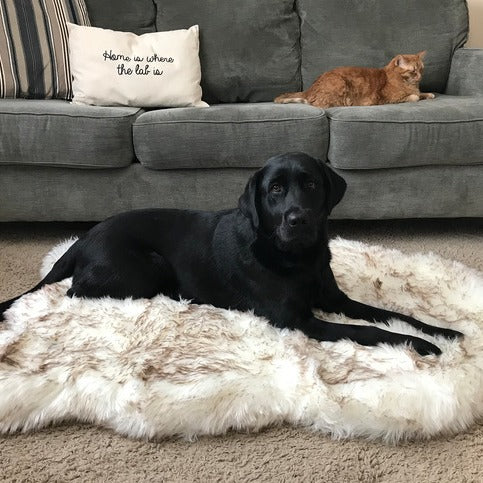 Soft plush faux fur dog mat with foam, main product photo