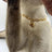 Alloy chain pet necklace with heart pendant, 4 sizes available