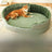 Four-season pet bed with cushion pad for dogs and cats, photo 7
