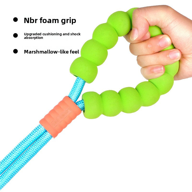Bright nylon dog lead in vivid colour, product image 2