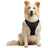 Reflective padded Oxford dog harness vest, product image 5