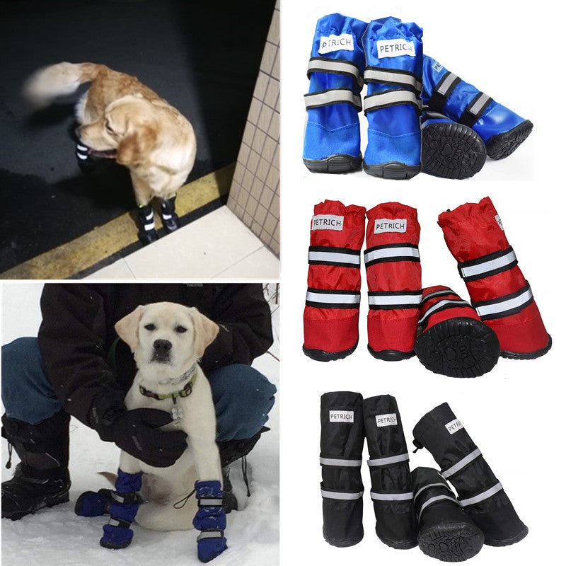Dog wearing red waterproof warm boots on a wet path
