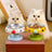 Pet Feeding Bowl