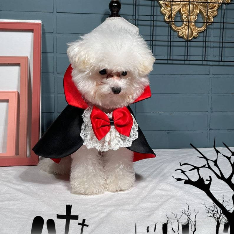 Satin vampire cloak for dogs and cats, in Black and Red, image 4