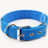 Padded nylon dog collar with foam lining, ideal for everyday use
