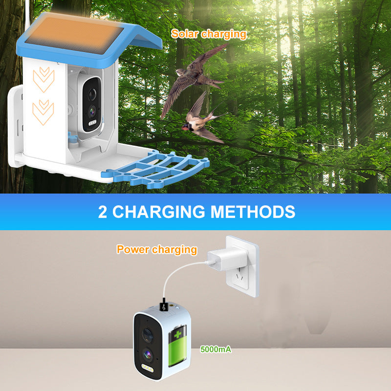 Solar Powered WiFi Bird Feeder with 5MP Camera for Garden Bird Watching