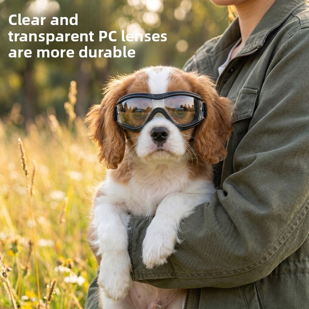 Dog goggles with adjustable straps, ideal for everyday use