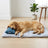 Self-cooling gel pad for cats and dogs, close-up detail view