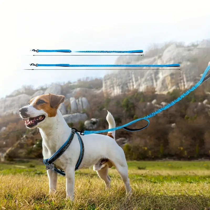 Multi-use bungee dog lead in 5 colour options