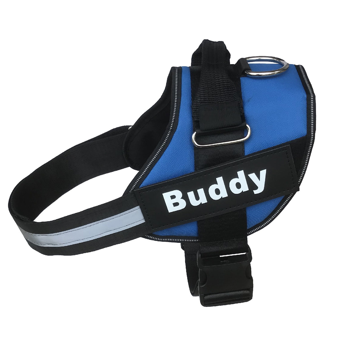 Large dog wearing an adjustable harness with matching lead