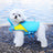 Dog life jacket with lead ring, available in 5 colours, image 1