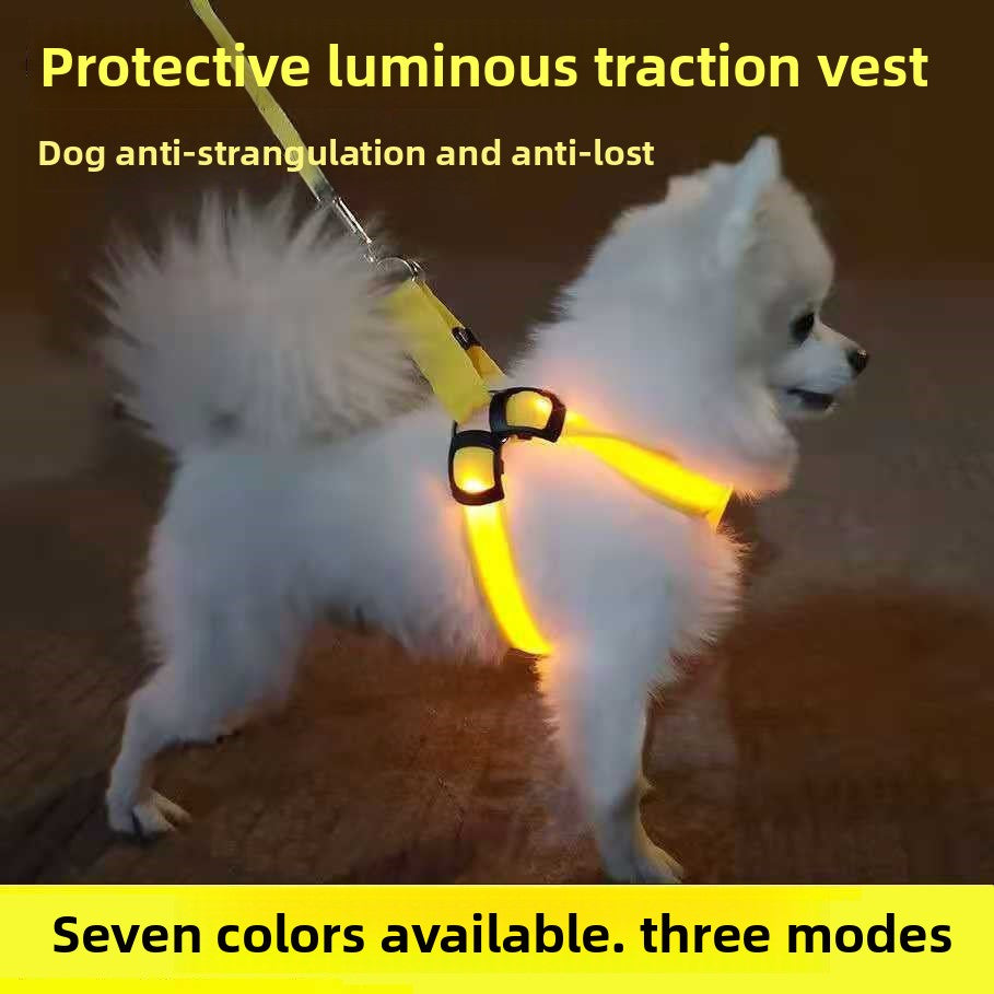 LED fibre optic dog harness glowing blue on a night walk