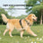 Padded mesh dog chest harness for medium and large dogs in grey, view 2