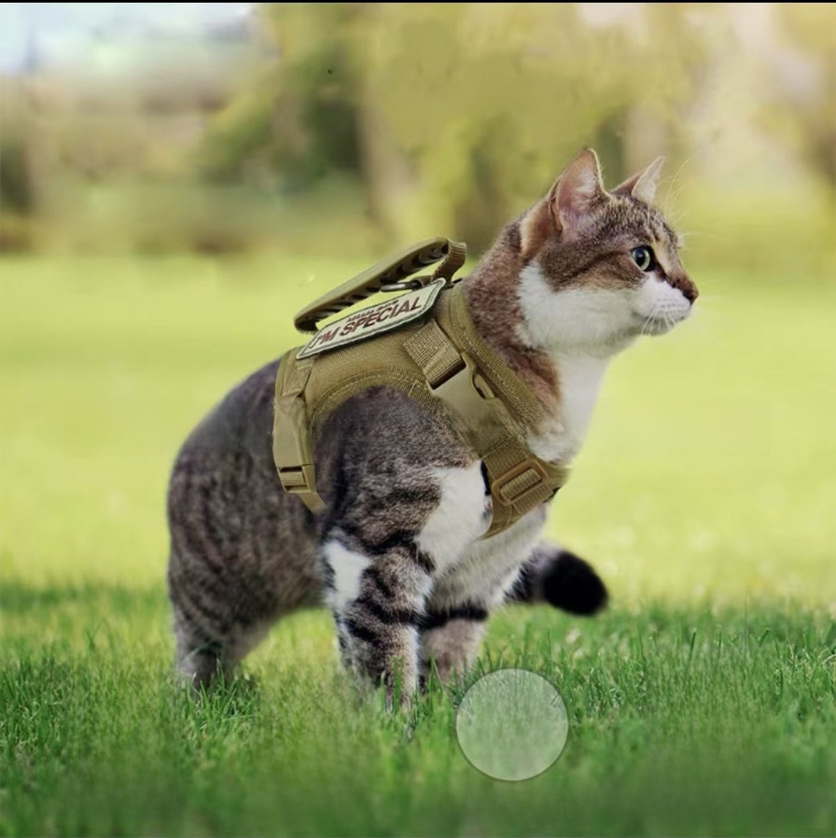 Tactical style cat walking vest with chest strap and lead, product image 5