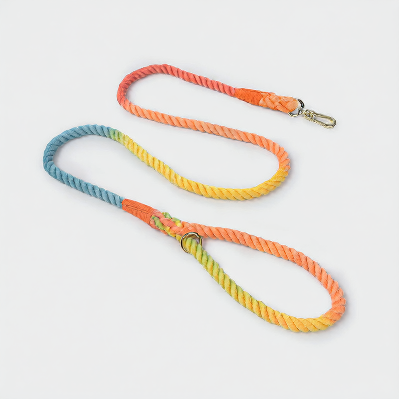 Woven rainbow dog lead with gold coloured clip