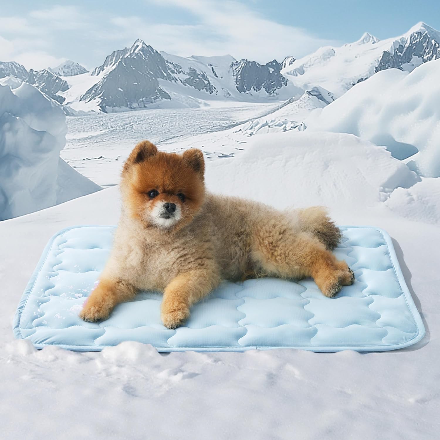 Gel pet cooling mat for dogs and cats, photo 3 of 25