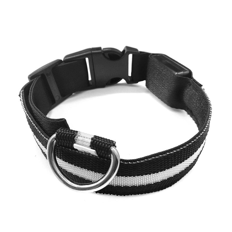 LED dog collars in yellow, green, blue, white and pink