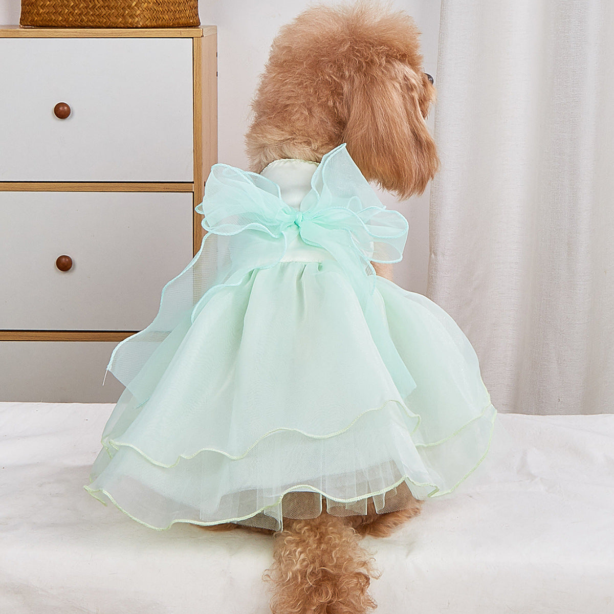 Small dog in a pink layered tutu princess dress
