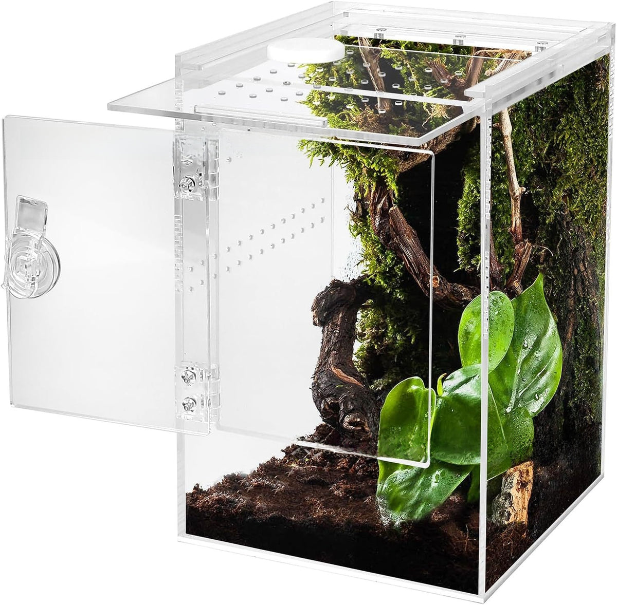 Acrylic jumping spider enclosure with front door, extra detail view