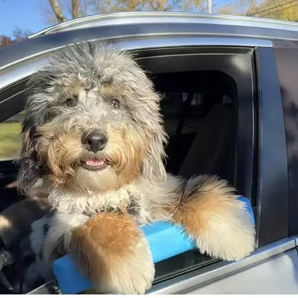 Padded dog car window chin rest in blue, product image 2
