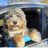 Padded dog car window chin rest in blue, product image 2