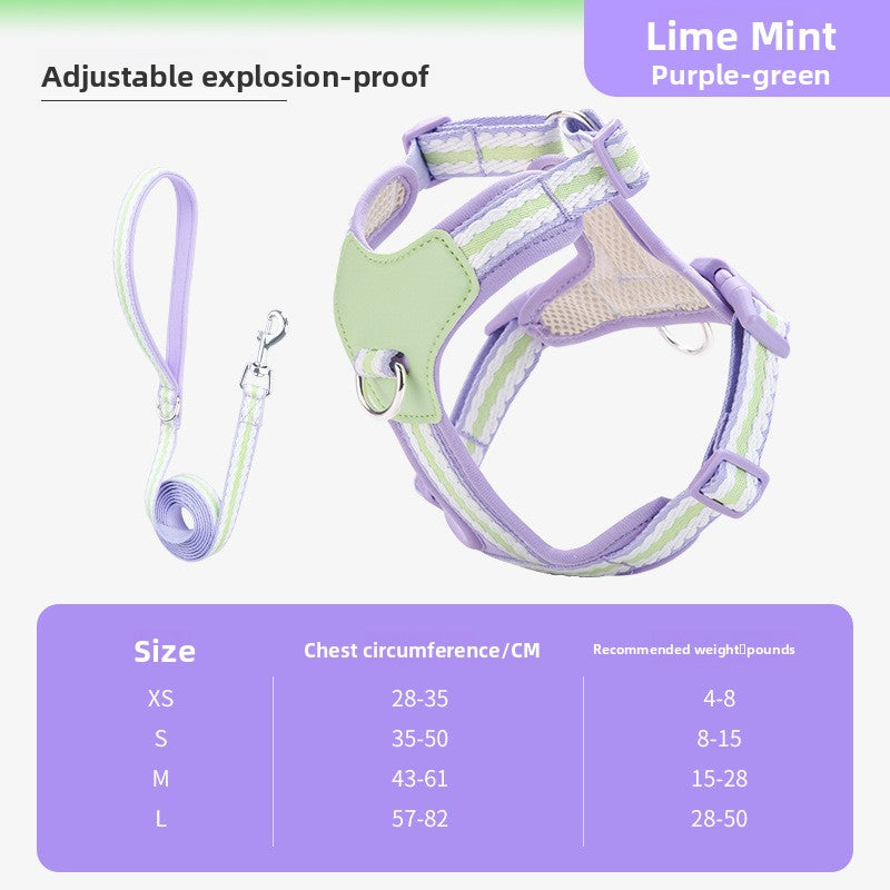Soft mesh puppy harness with lead, 3 sizes available