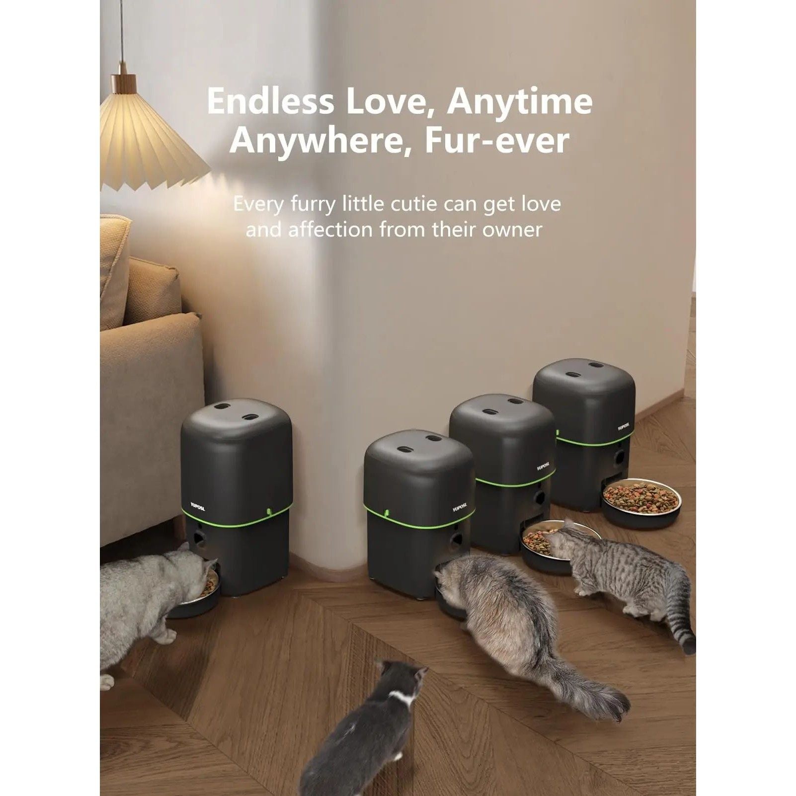 Automatic Cat Feeder with WiFi App Control, Timed Portions and Optional Camera
